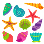 Avatar for Seashell