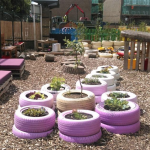 Purple Jay Nursery