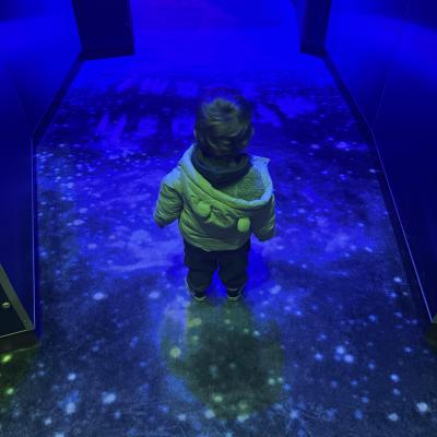 Image from Blue Bear Day Care