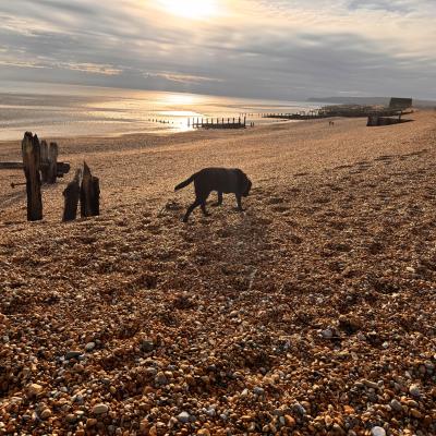 Image from Jan