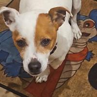 MissLyns