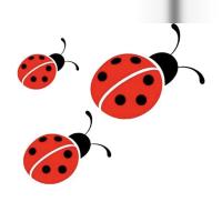 Ladybirds