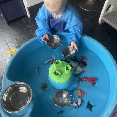 Image from Liz