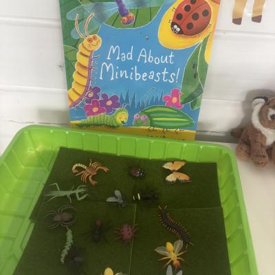 Image from Liz
