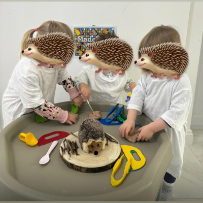 Image from First Steps Learning