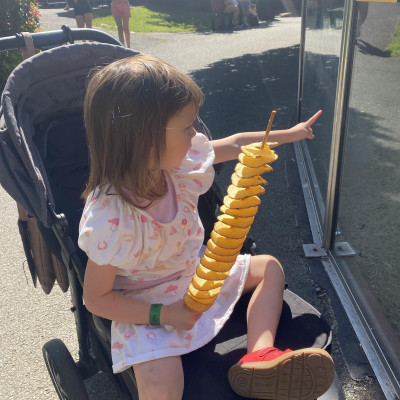 Image from Universal Guardian