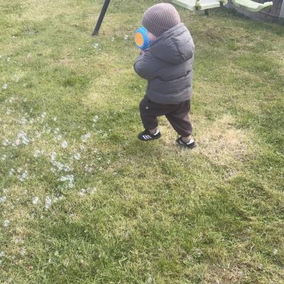 Image from Liz