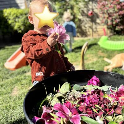 Image from Sam