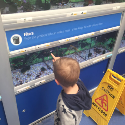 Image from Shells House 