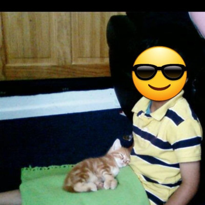 Image from Little munchkins