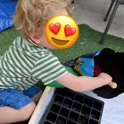 Image from Tiny Explorers 