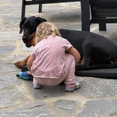 Image from Fliss