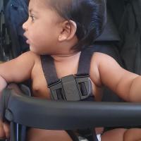 Dinesh m