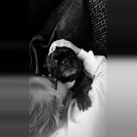Millie
