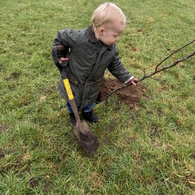 Image from LittleBarn