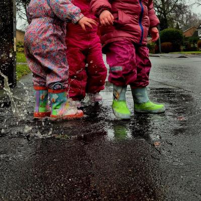 Image from Suzanne Lynn