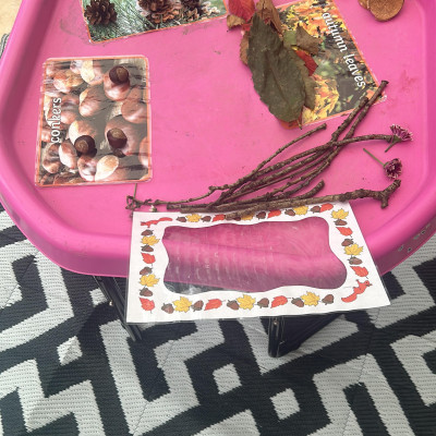 Image from Maddie