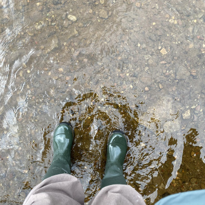 Image from Universal Guardian