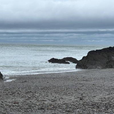 Image from Caterpillars CM