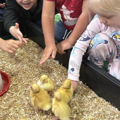 Image from Kiddy Care Nursery