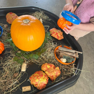 Image from Armadillos Nursery