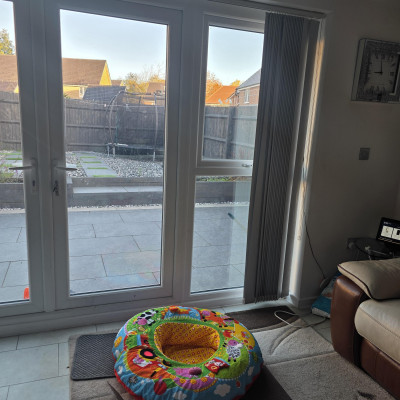 Image from Diana Agyemang