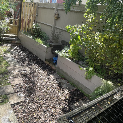 Image from Lee