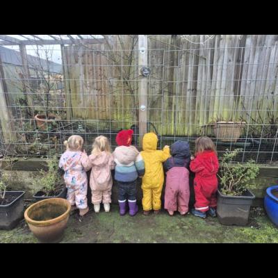 Image from Flora