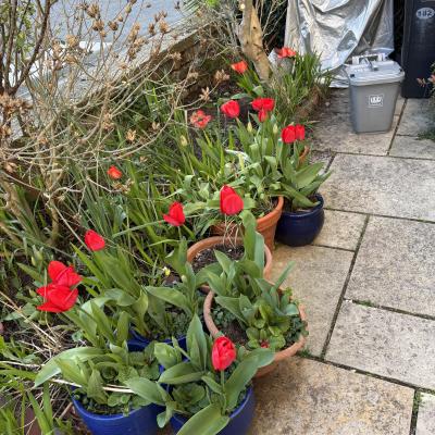 Image from Nicola_Childcare