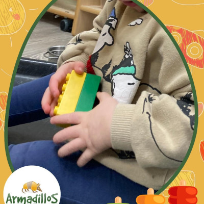 Image from Armadillos Nursery