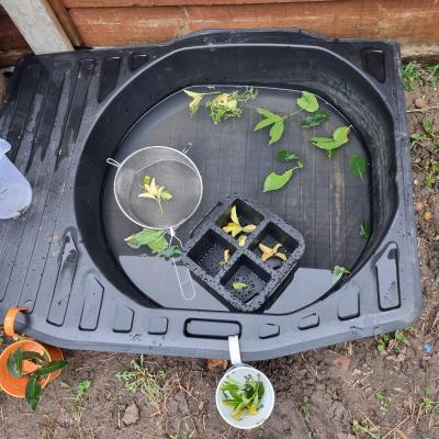 Image from RobinsPlayPatch