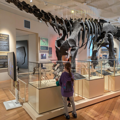 Image from ZoesLilAngels