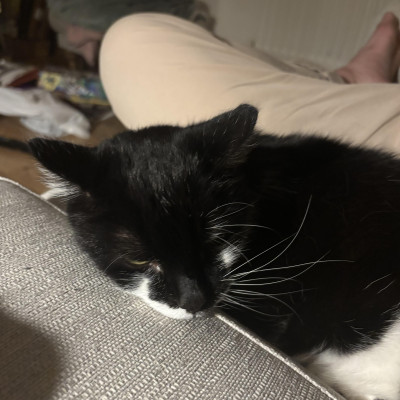 Image from Nicola_Childcare