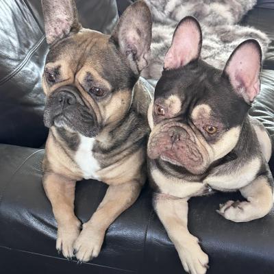 Image from SHARON UMNEY