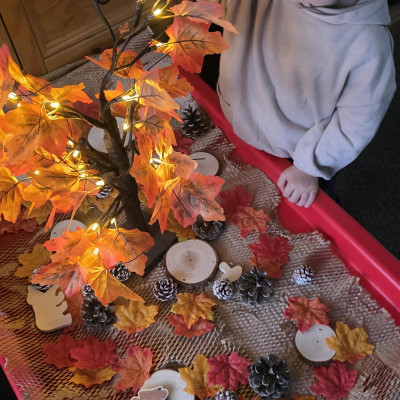 Image from Tanyas playhouse