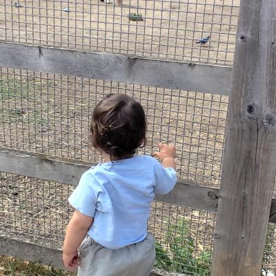 Image from Carmen