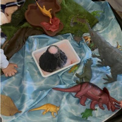 Image from Tiny Explorers 