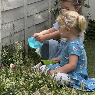 Image from Honeybees