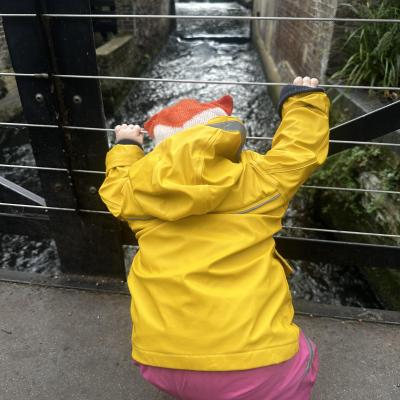 Image from Little Hedgehogs