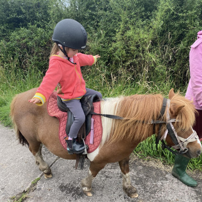 Image from Universal Guardian