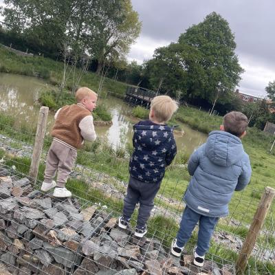 Image from Gemma