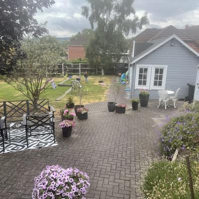 Image from Liz