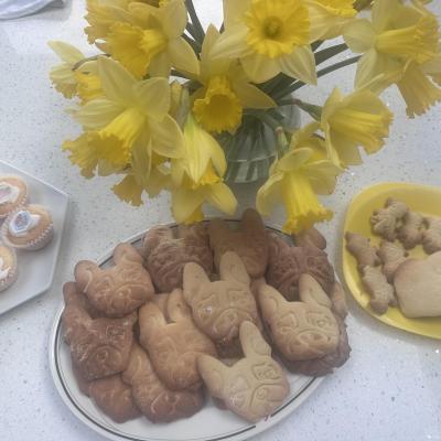 Image from SHARON UMNEY