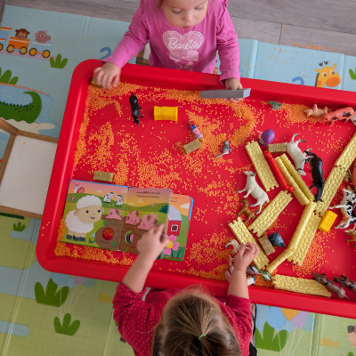 Image from Raquel Silva