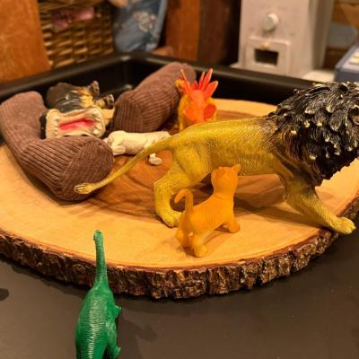 Image from Mischelle Akid