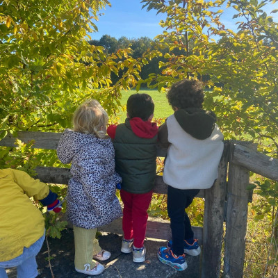 Image from What Parents Want