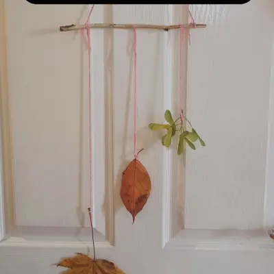 Image from Serena