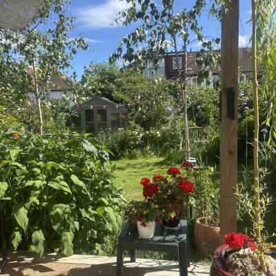 Image from lisa