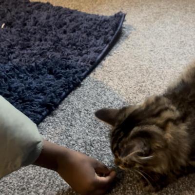 Image from Fizz