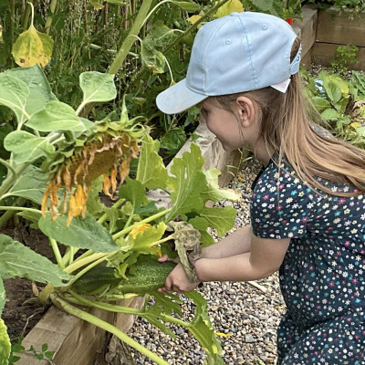 Image from Little Wellies